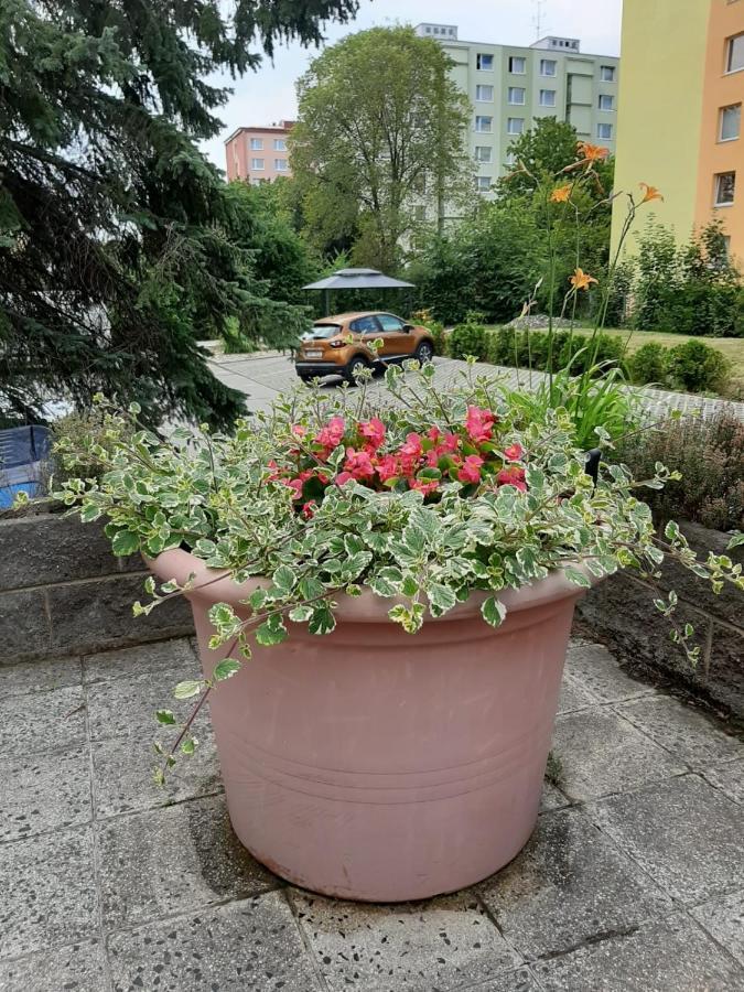 Žlutý apartmán v Chomutově Exterior foto